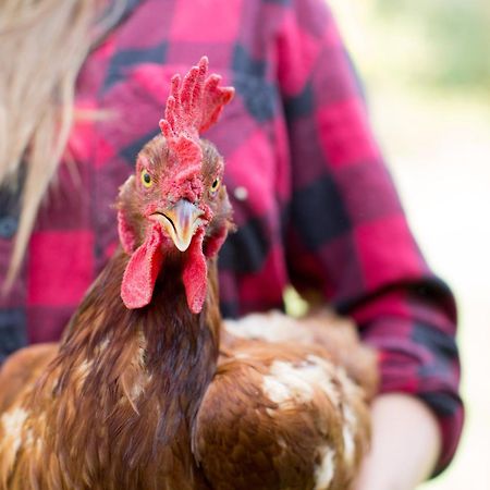 Woodstock Sustainable Farms别墅 外观 照片