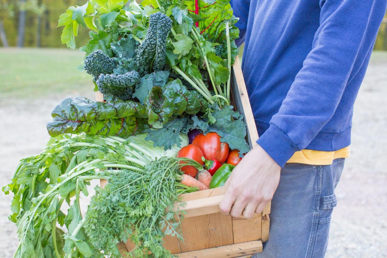 Woodstock Sustainable Farms别墅 客房 照片