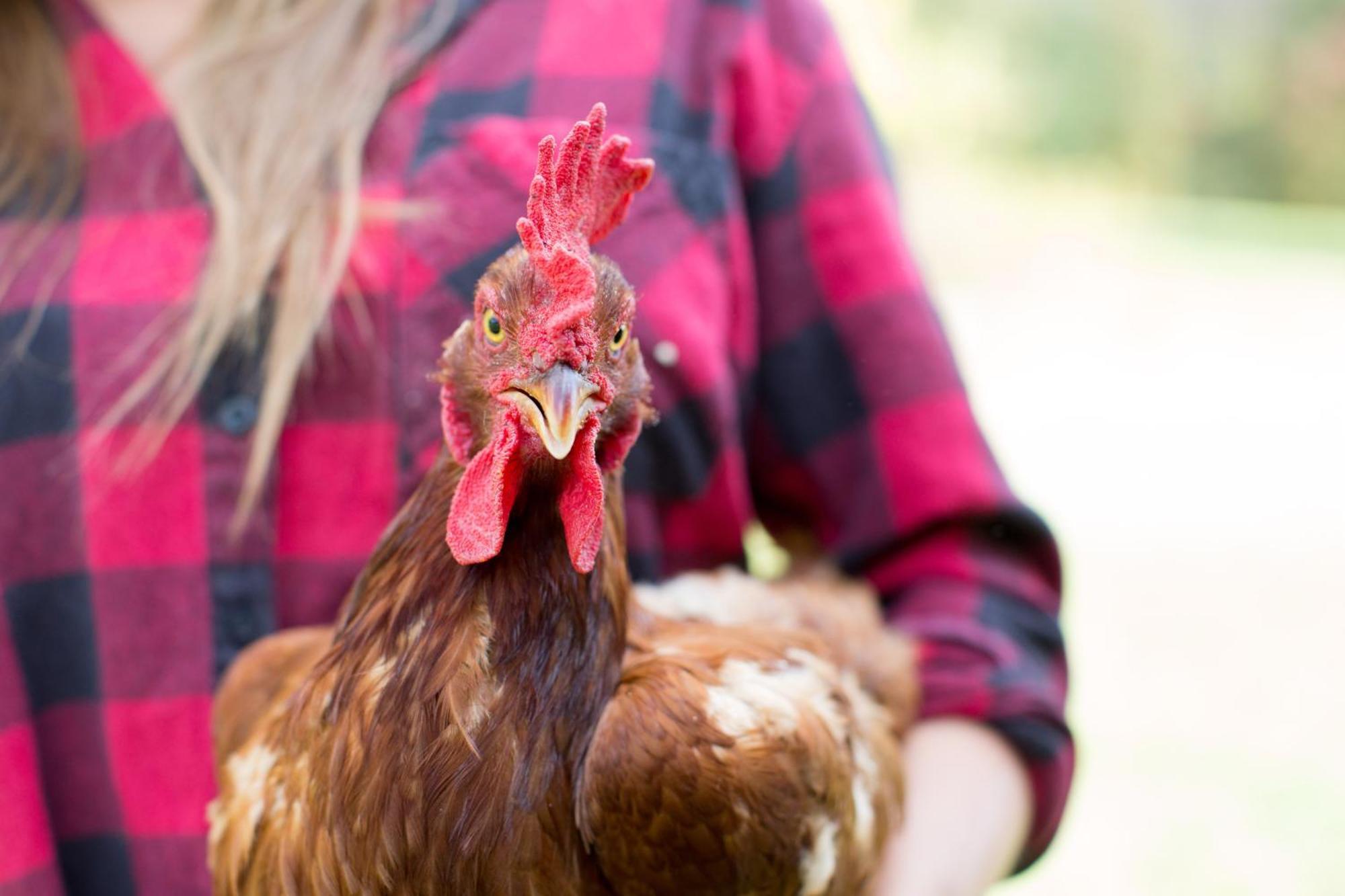 Woodstock Sustainable Farms别墅 外观 照片